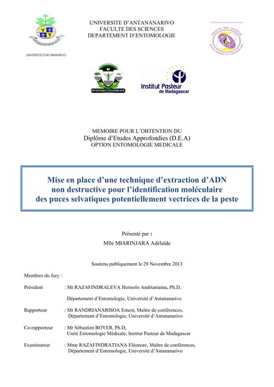 Vignette du document