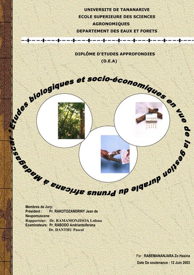 Vignette du document