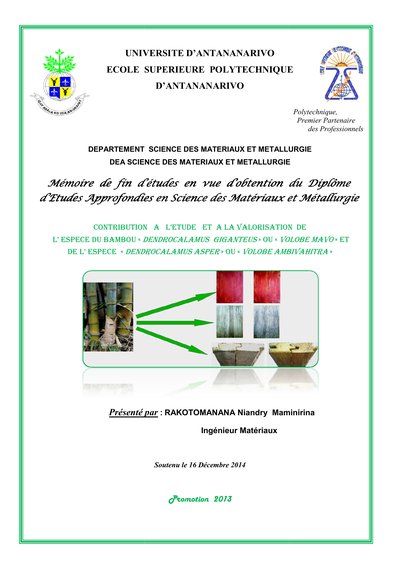 Vignette du document